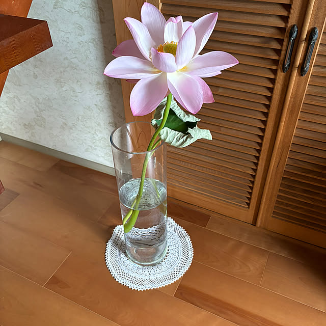 maayaさんの部屋
