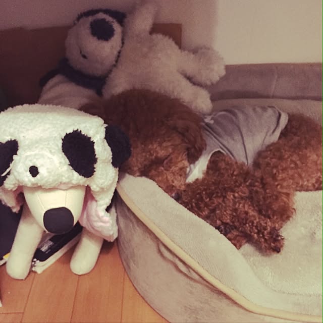 Maiさんの実例写真