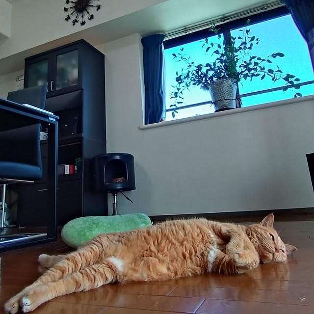 NOAHさんの実例写真