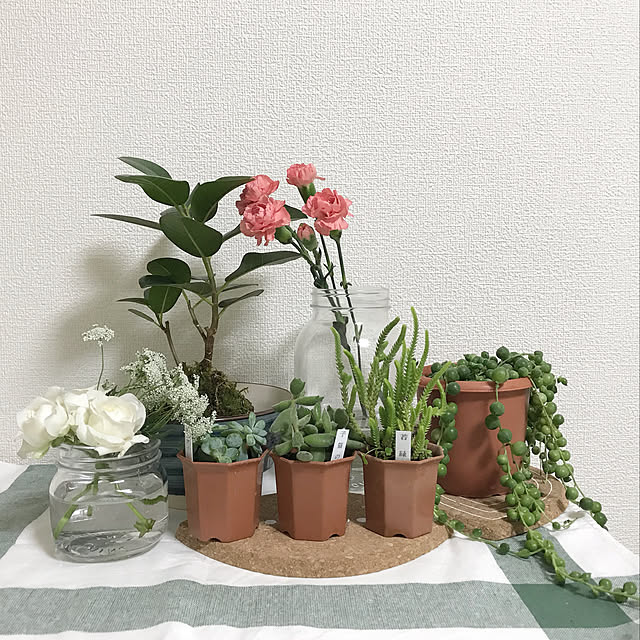 Fayeさんの実例写真