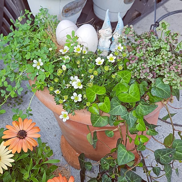 mocomocoさんの部屋