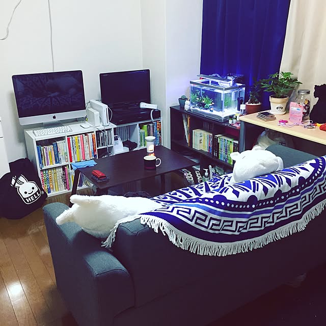 shiratamaさんの実例写真
