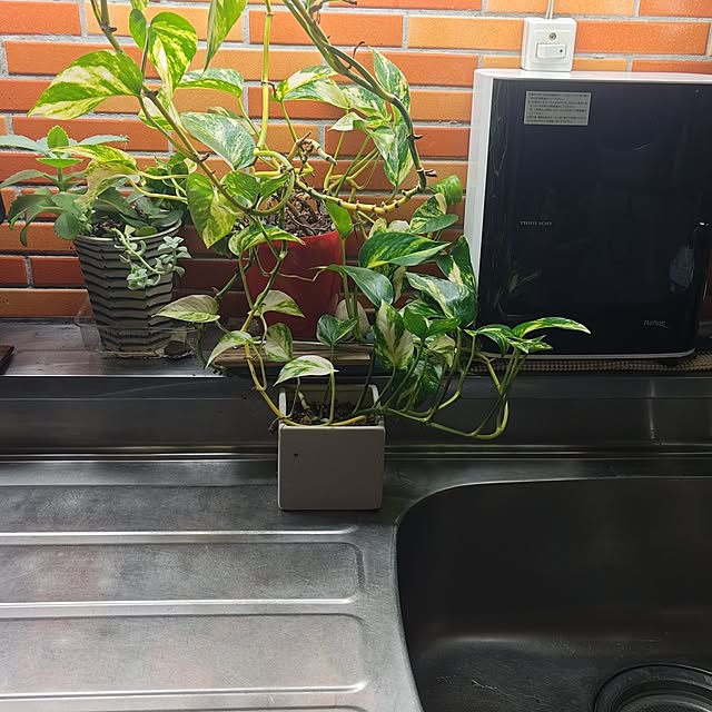 otibi.tt8787さんの部屋