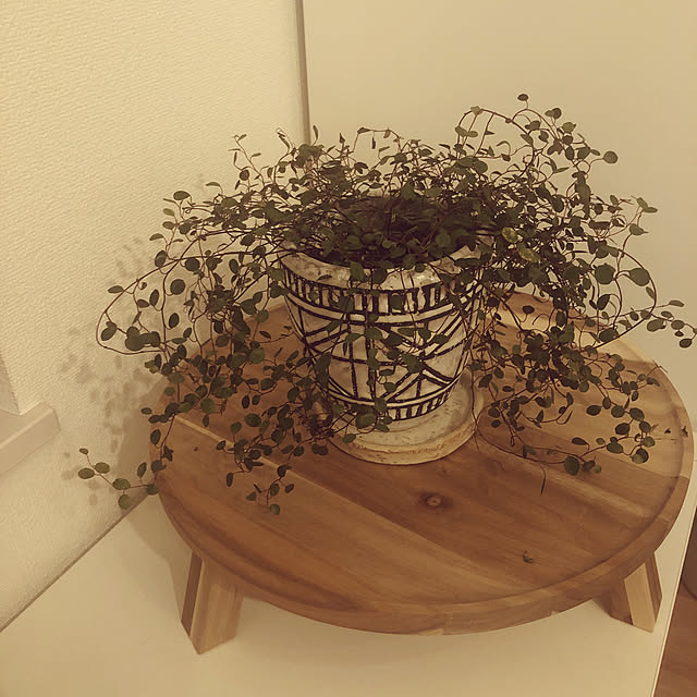 ingenさんの実例写真