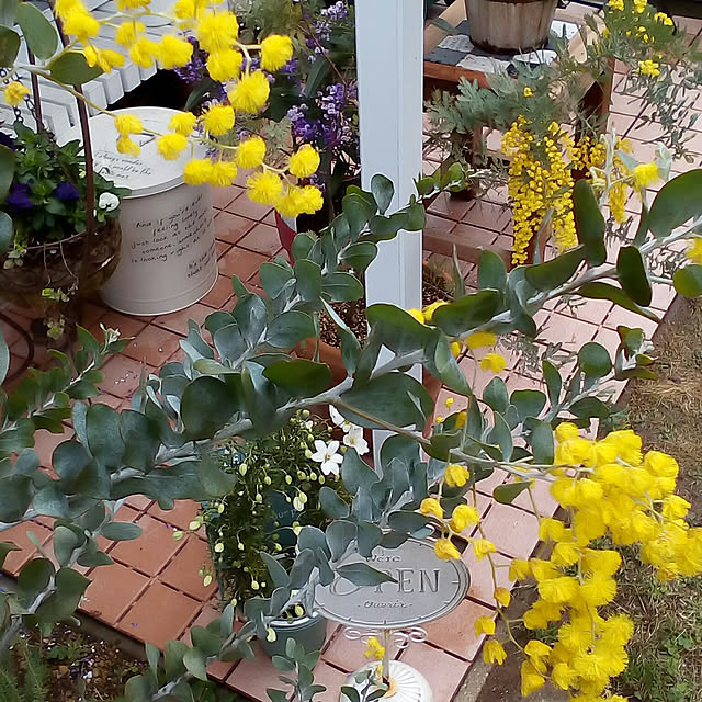 mariagardenさんの実例写真
