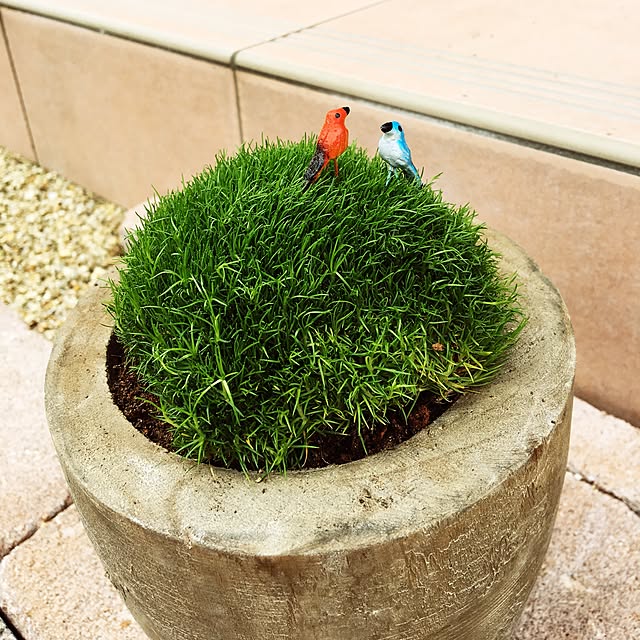 anさんの実例写真
