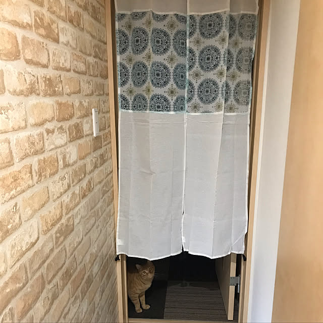 shiotanさんの実例写真