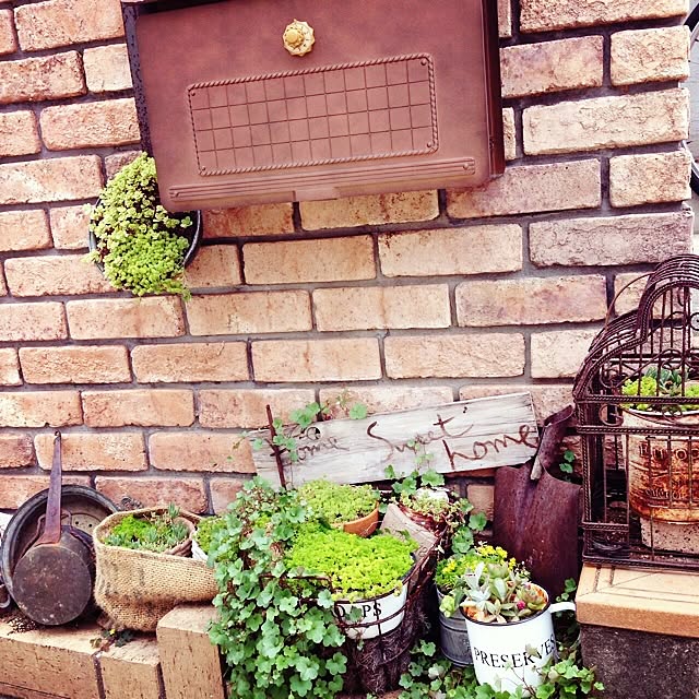 cocoa.さんの実例写真