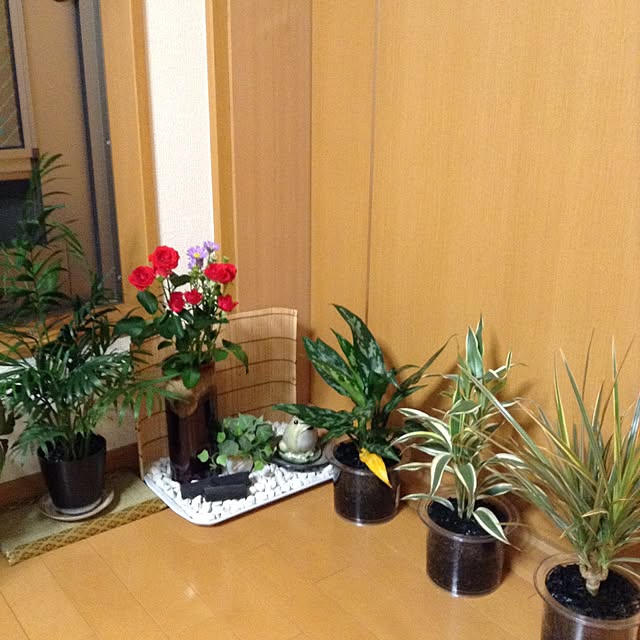 ankoさんの実例写真