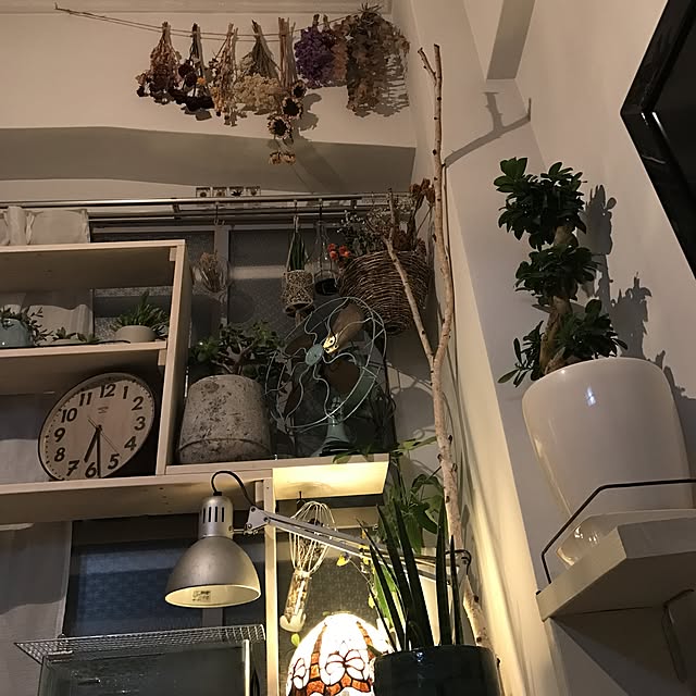 ktnさんの実例写真