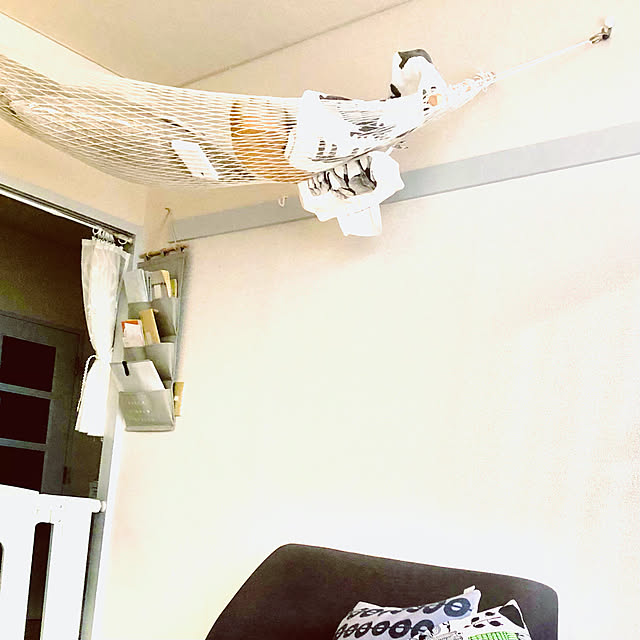 ...entropyyy...さんの実例写真