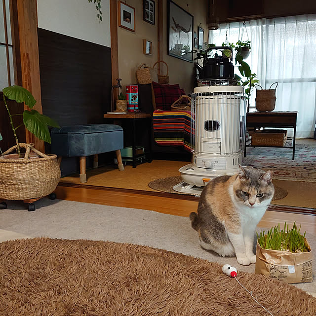 fukuさんの実例写真