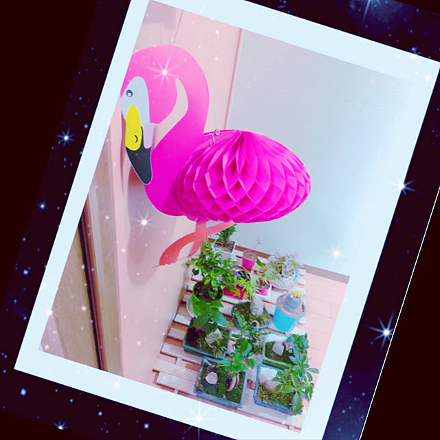 koyuriさんの実例写真