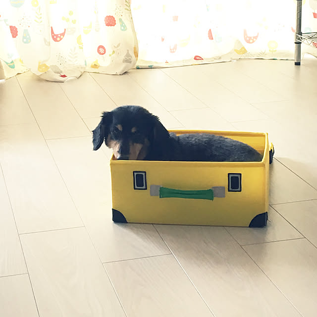 ohanaさんの実例写真