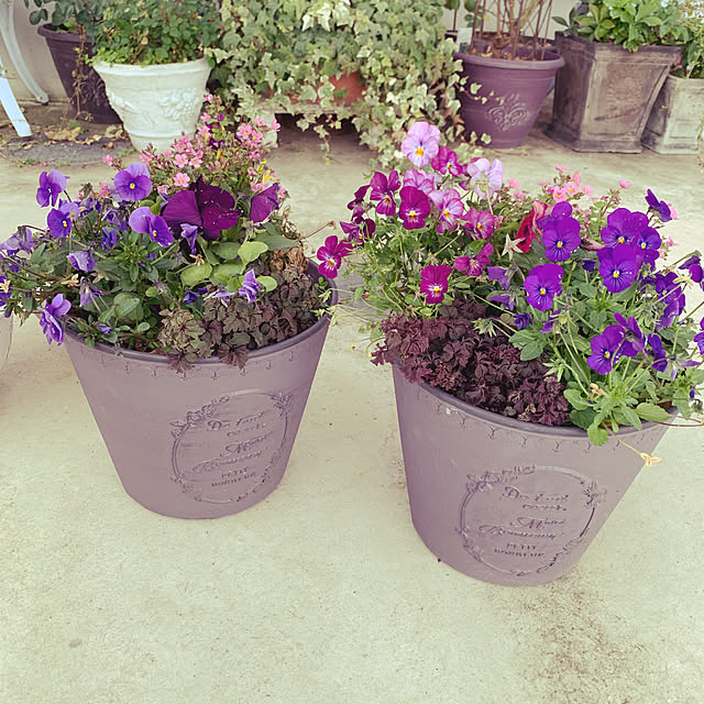 AYUKOさんの実例写真