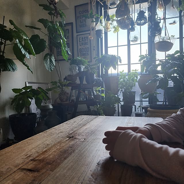 CYNOSさんの実例写真