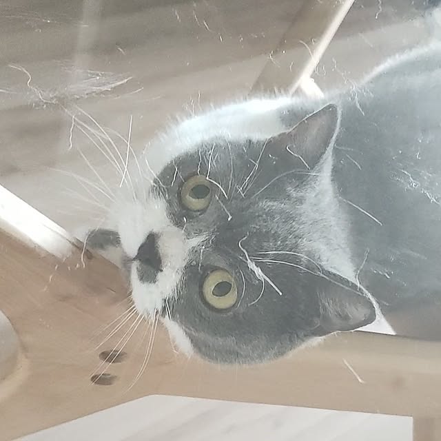 KEIKOさんの部屋