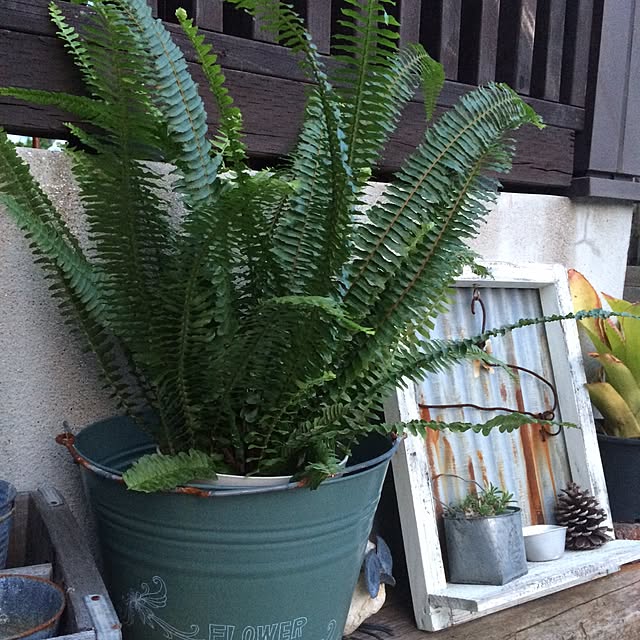 実例写真
