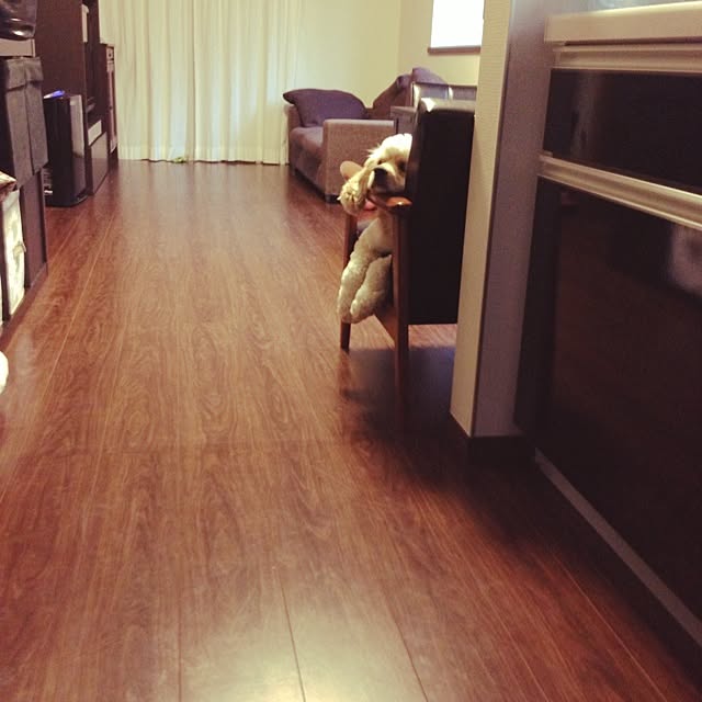 IZUMIさんの実例写真