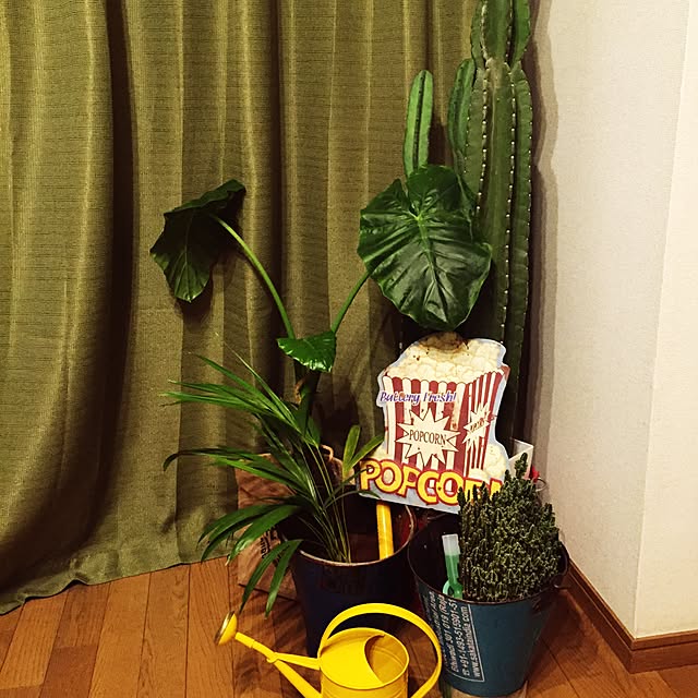 jahpanさんの実例写真