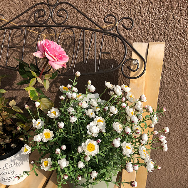 Kumikoさんの実例写真