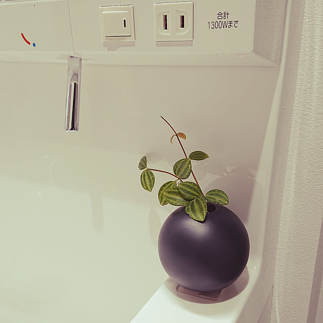 kaanaさんの実例写真