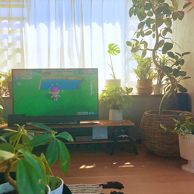 sakkiy37さんの実例写真