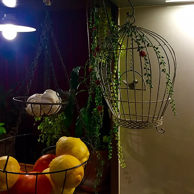 butachanさんの実例写真