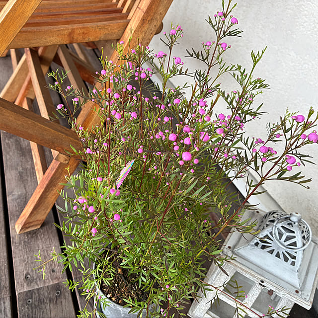 ray1215さんの実例写真