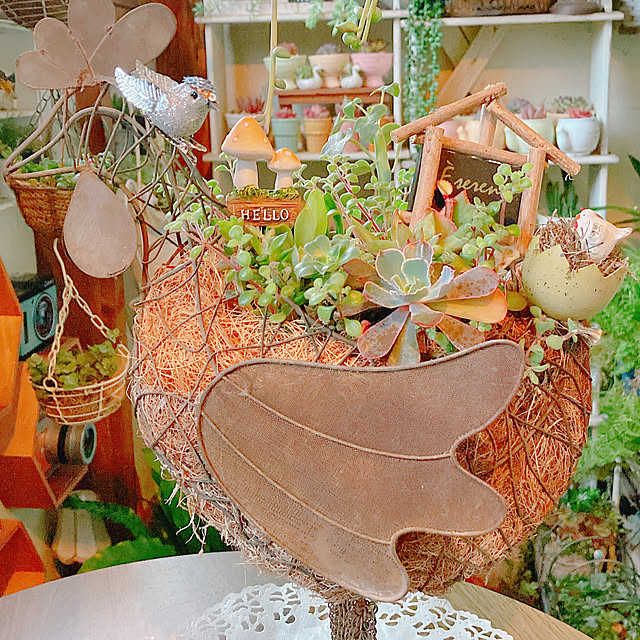 Hanakaさんの部屋