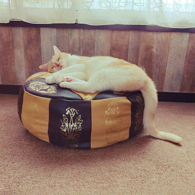 kobakissaさんの実例写真