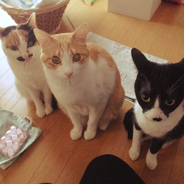Kinanさんの実例写真