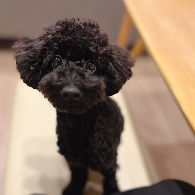 erikaさんの部屋