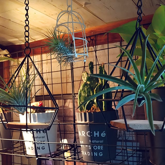 runaさんの部屋
