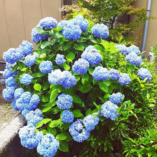 rumako32さんの部屋