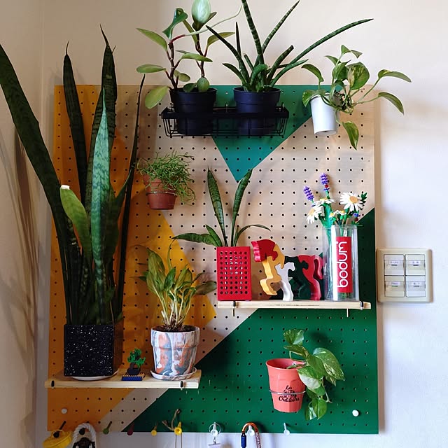 urchinさんの実例写真