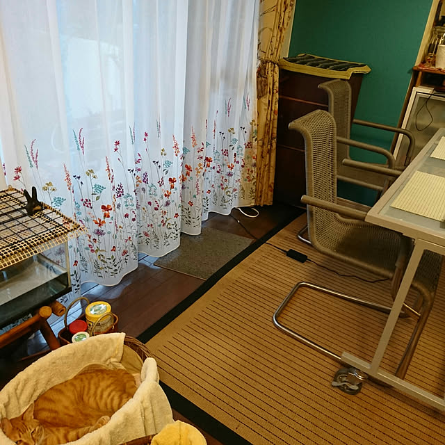 okyosan101さんの実例写真