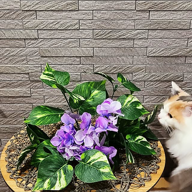 akiko6193さんの部屋