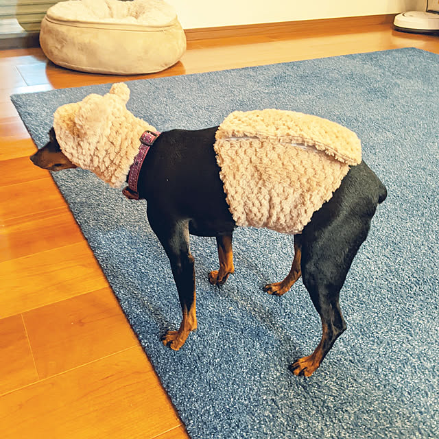 shizuponさんの実例写真