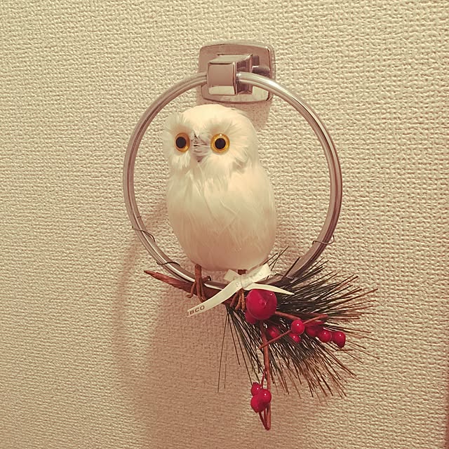 ageさんの実例写真
