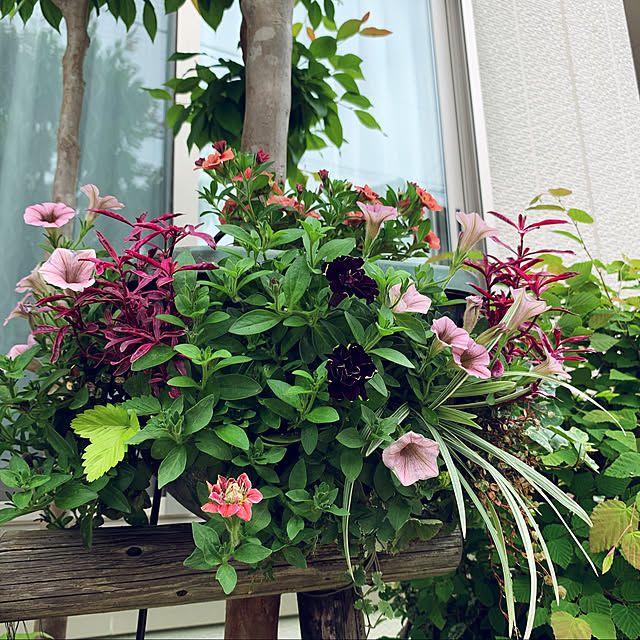 yukarin-gardenさんの実例写真