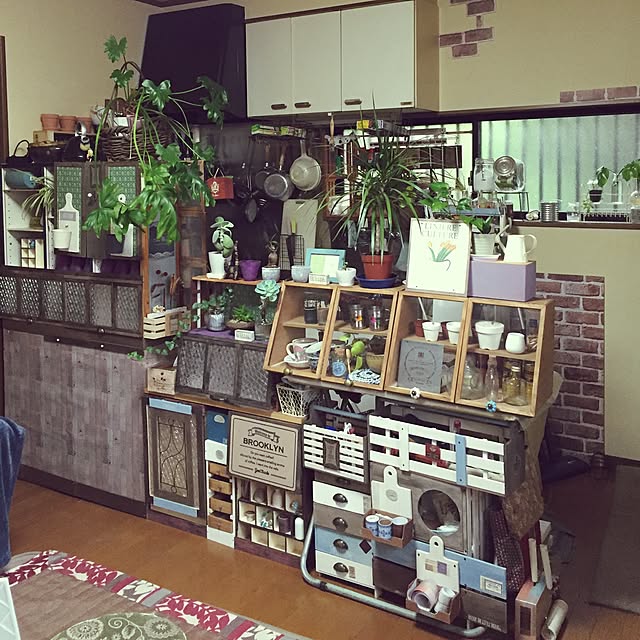 Norikoさんの実例写真