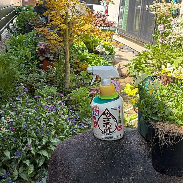 buchiさんの実例写真