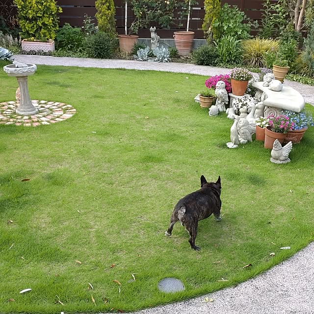 figaroさんの部屋