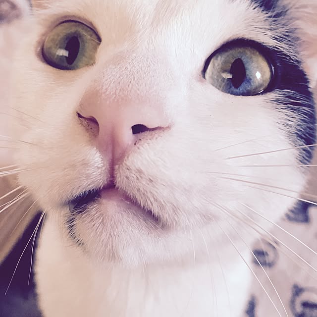 powderさんの実例写真