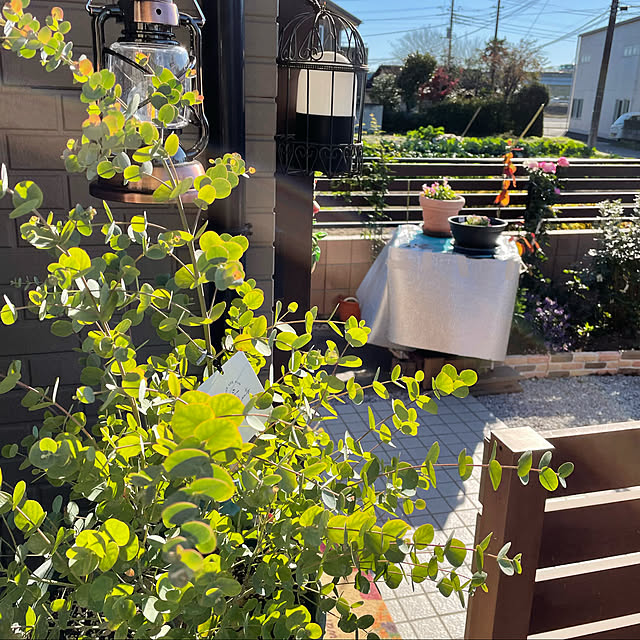 ronronさんの実例写真