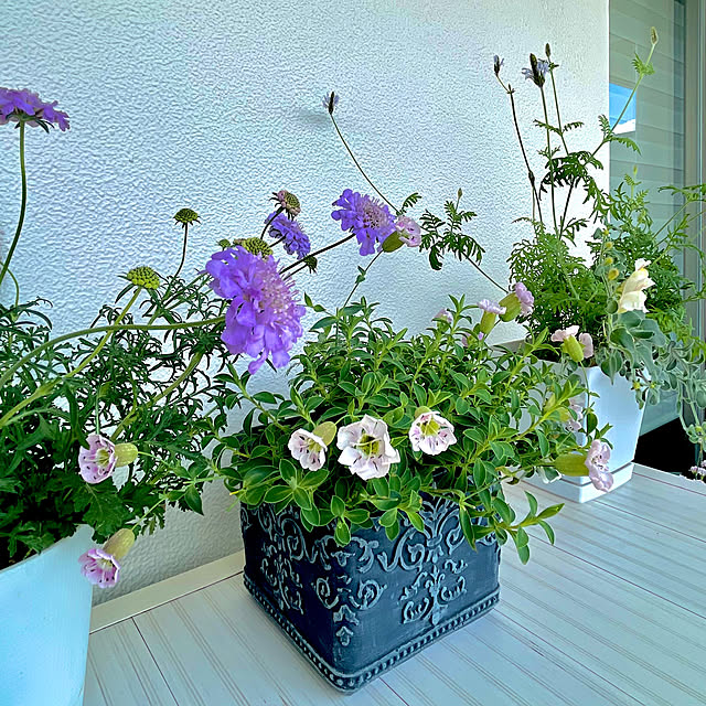 KLさんの部屋