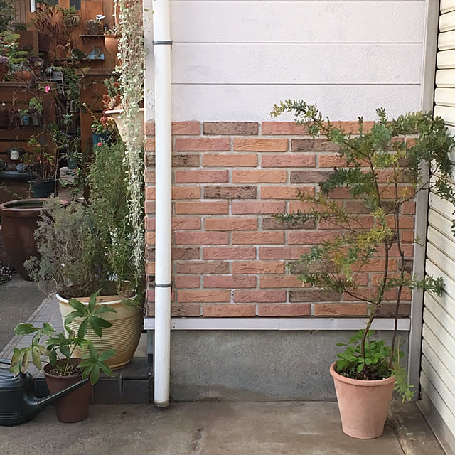 mintteaさんの実例写真