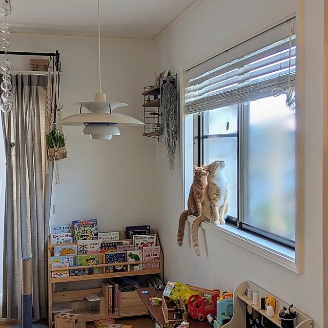 poteさんの実例写真