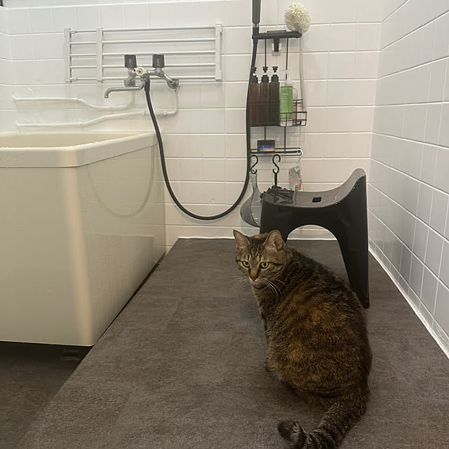 kumakoさんの部屋